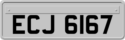 ECJ6167