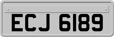 ECJ6189