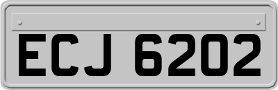 ECJ6202