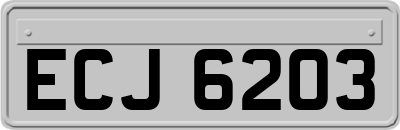 ECJ6203