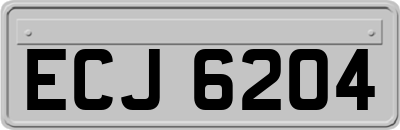 ECJ6204