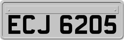 ECJ6205