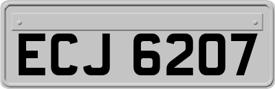 ECJ6207