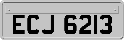 ECJ6213