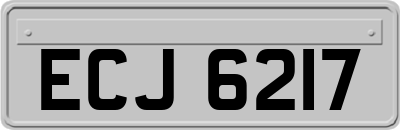 ECJ6217