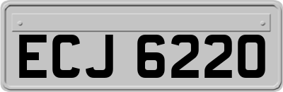 ECJ6220