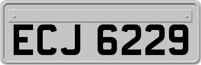 ECJ6229