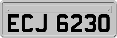 ECJ6230