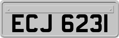 ECJ6231