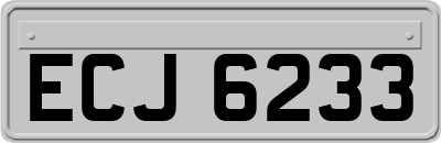 ECJ6233