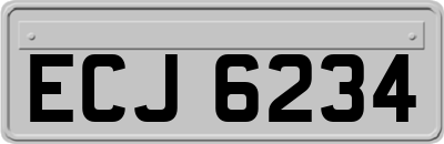 ECJ6234