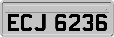 ECJ6236