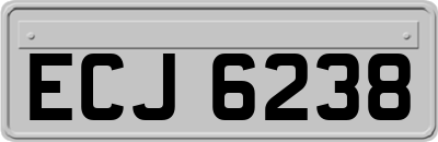 ECJ6238