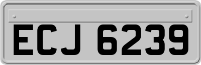 ECJ6239