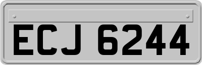 ECJ6244