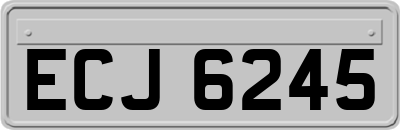 ECJ6245