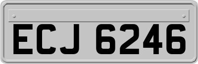 ECJ6246