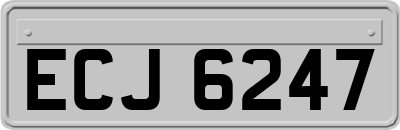 ECJ6247