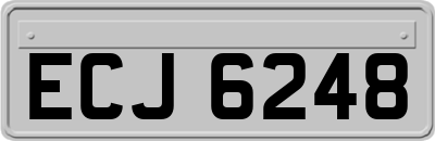 ECJ6248