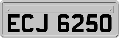 ECJ6250