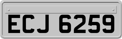 ECJ6259