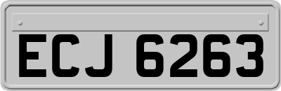 ECJ6263