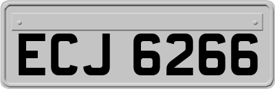 ECJ6266