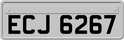 ECJ6267