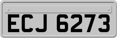 ECJ6273