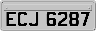 ECJ6287