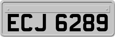 ECJ6289