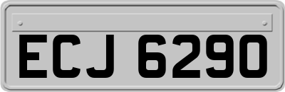 ECJ6290