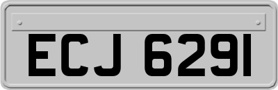 ECJ6291