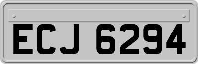 ECJ6294