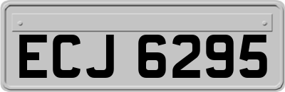 ECJ6295