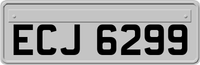 ECJ6299