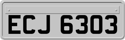 ECJ6303