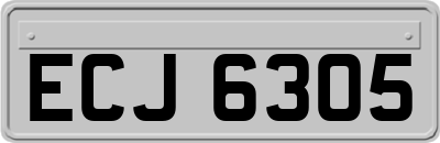 ECJ6305