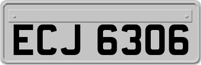 ECJ6306