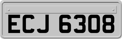 ECJ6308