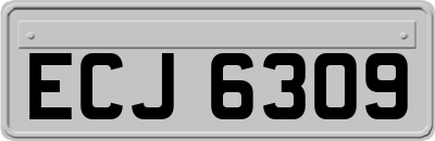ECJ6309