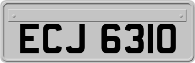 ECJ6310