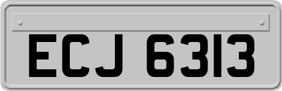 ECJ6313