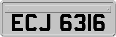 ECJ6316