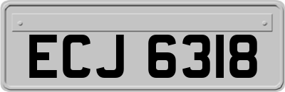 ECJ6318