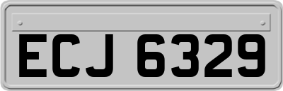 ECJ6329