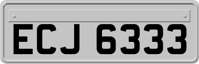 ECJ6333