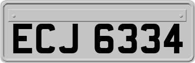ECJ6334