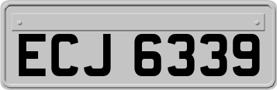 ECJ6339