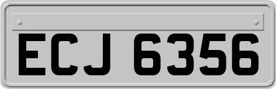 ECJ6356